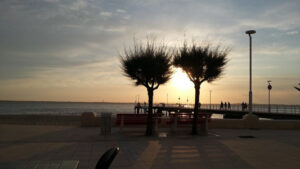 Lire la suite à propos de l’article Guide du bassin d’Arcachon: Incontournables à découvrir