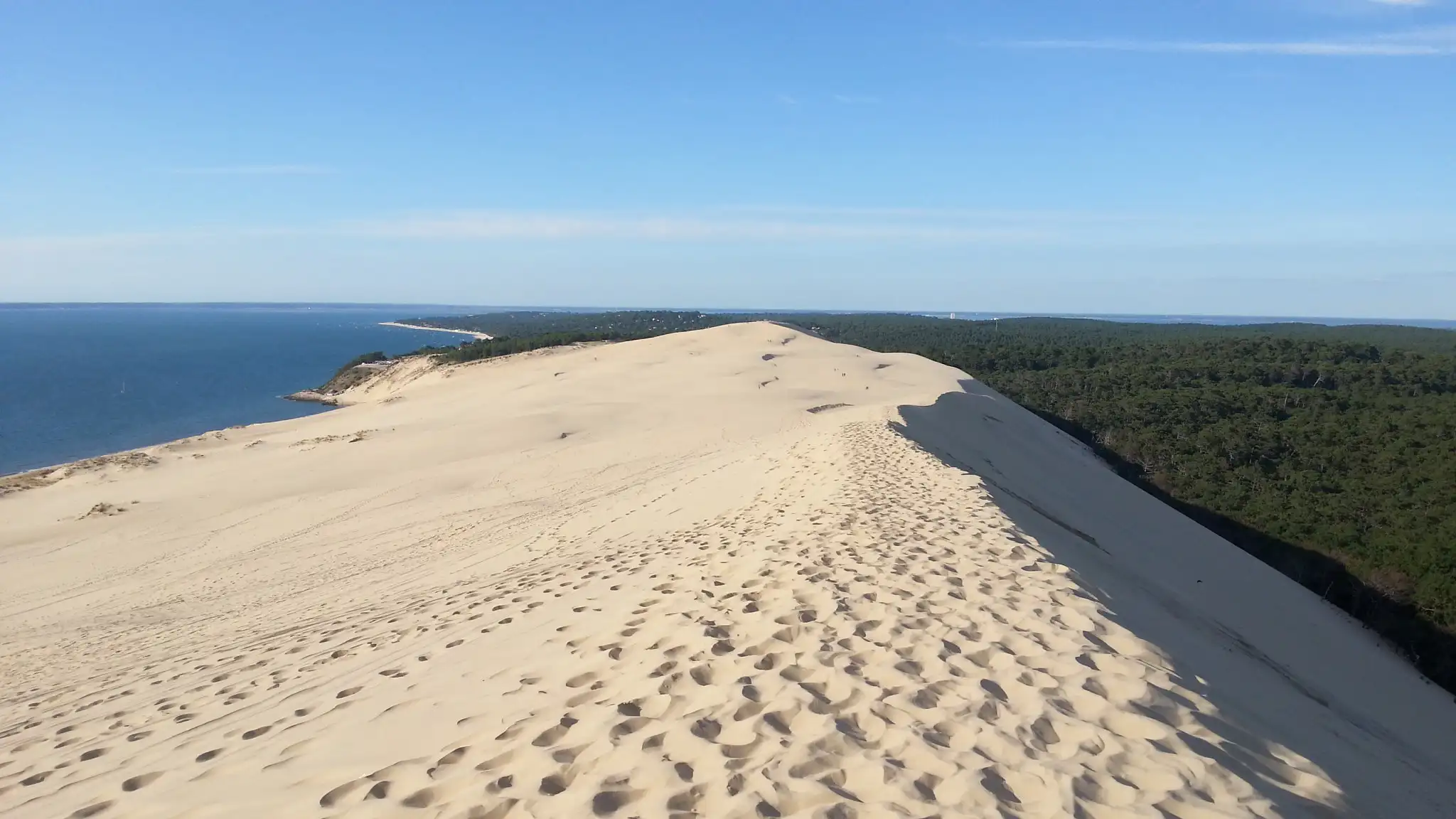 Lire la suite à propos de l’article Jour 1 Bassin d’Arcachon : Dune du Pilat et Banc d’Arguin